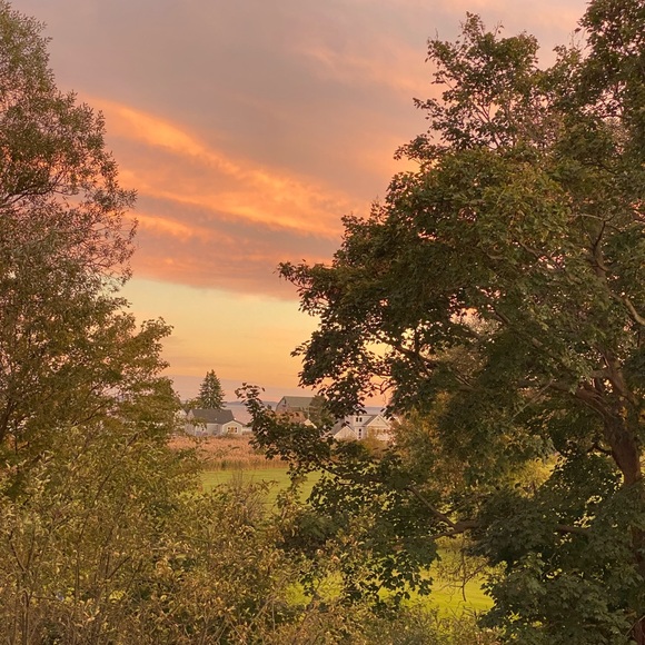 NEW INVENTORY 🌞 - Picture 4 of 15